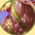 逆袭之星途璀璨橙光游戏app下载极速版 